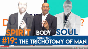 Fact #19: The Trichotomy of Man