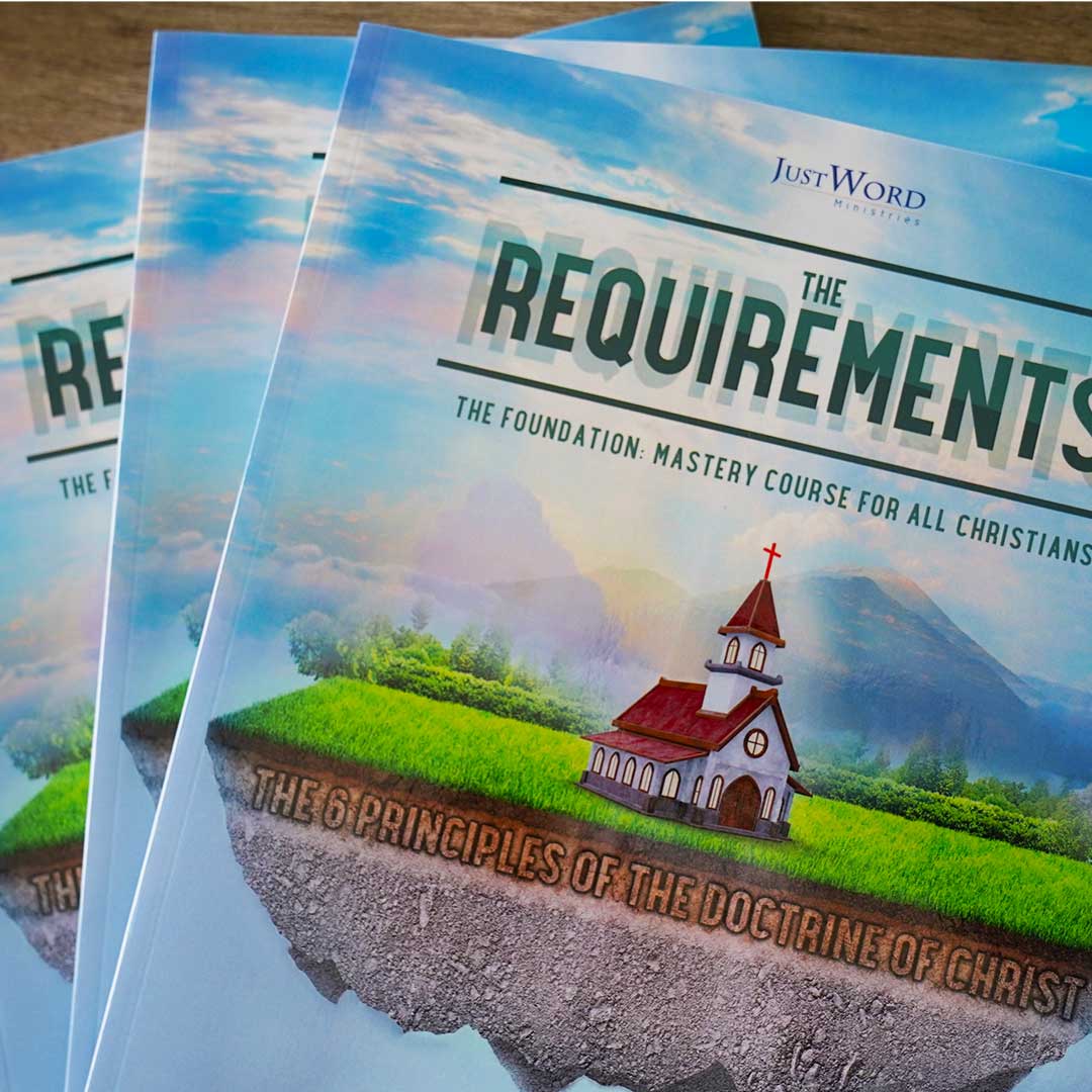 The Requirements | Book 2 - Image 3