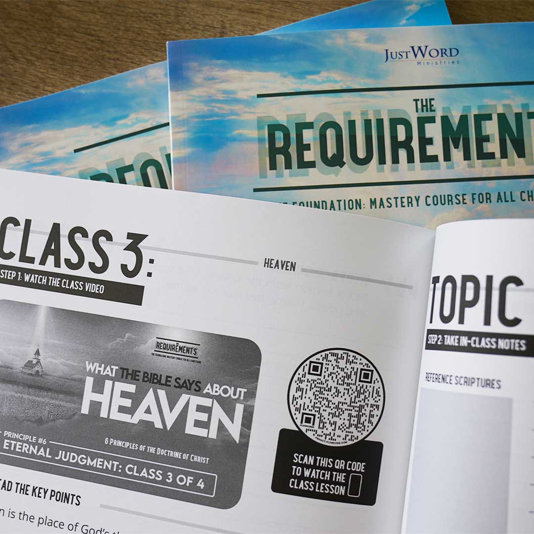 The Requirements | Book 2 - Image 7