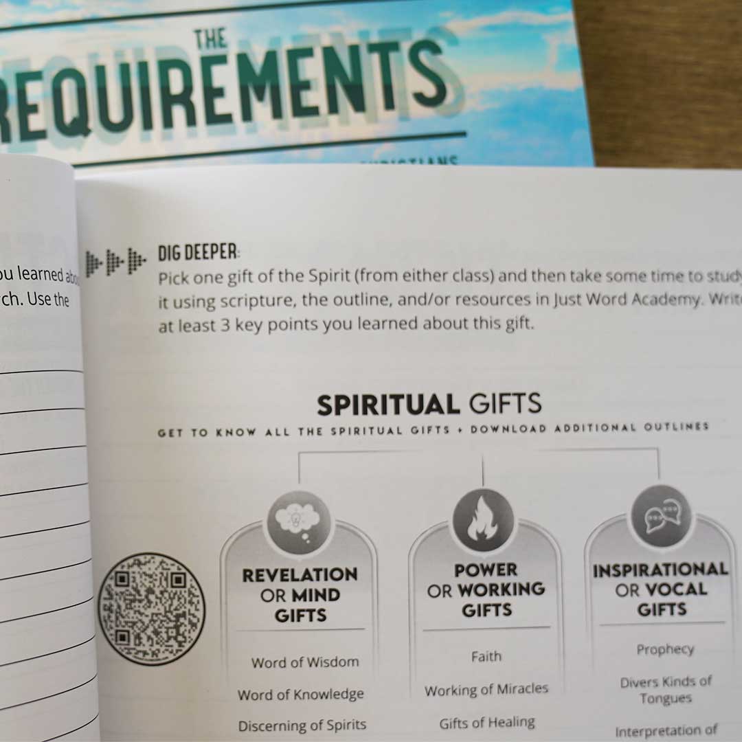The Requirements | Book 2 - Image 8