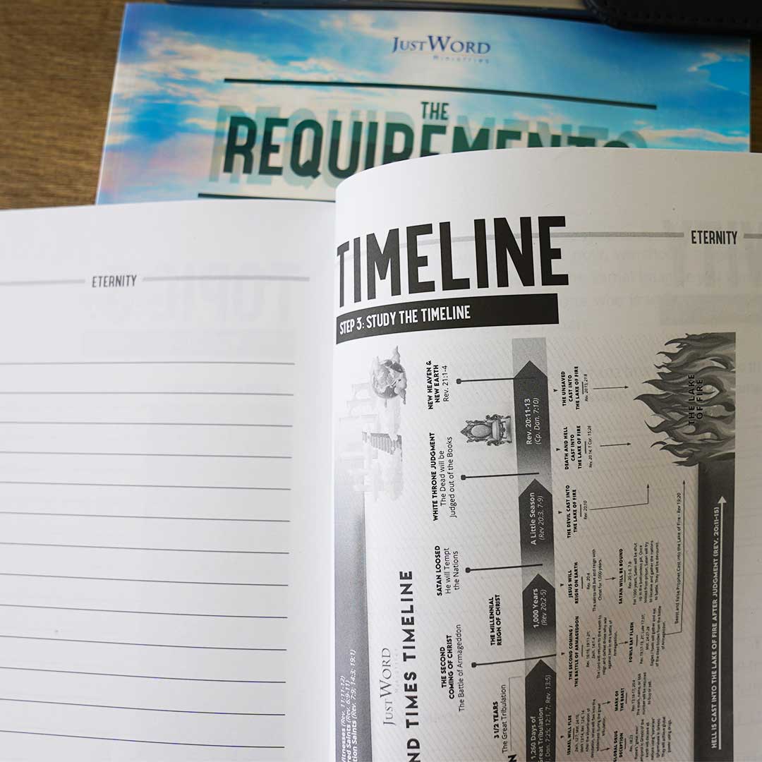The Requirements | Book 2 - Image 5