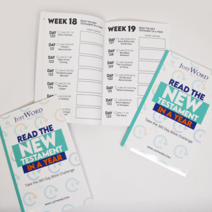 Read the Bible in a Year - New Testament in a Year