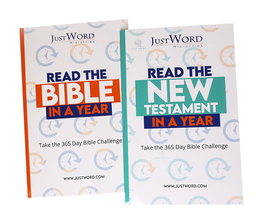 Read the Bible / New Testament in a Year