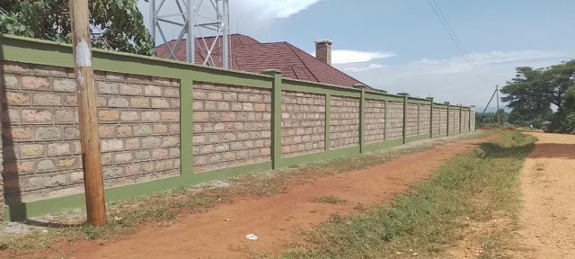 Built Community Center in Kenya