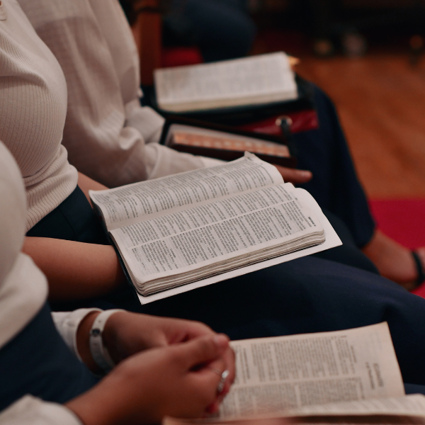 reading bible