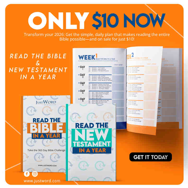 Bible NT in a year 1