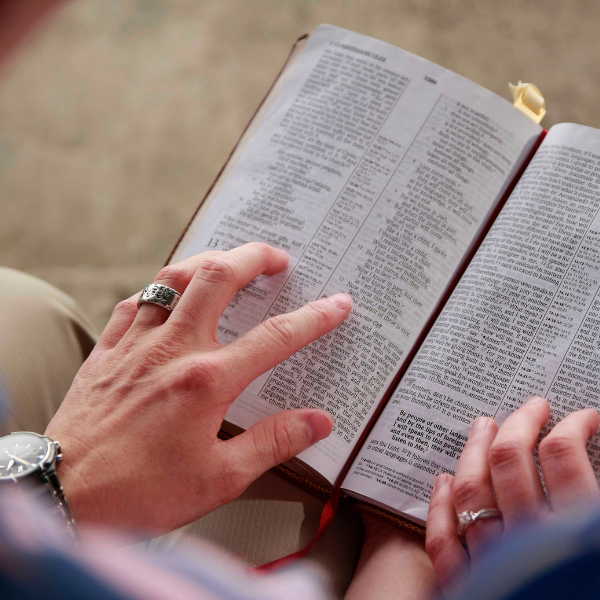 reading bible